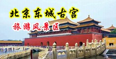 俄罗斯淫娃影院中国北京-东城古宫旅游风景区